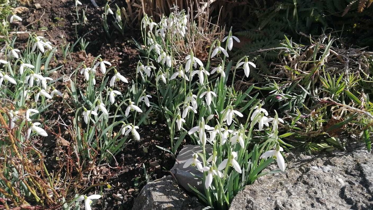 Photo of Outdoor in Sankt Johann im Pongau
