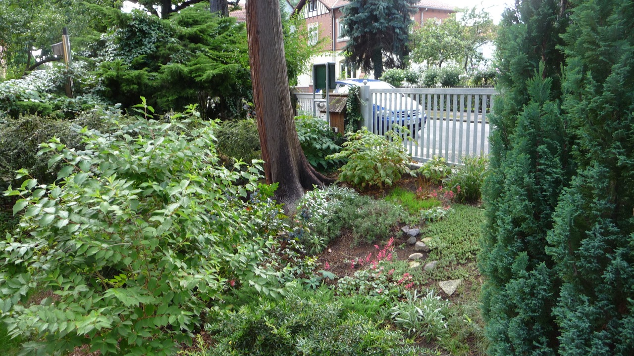 Photo of Outdoor in Kleinzschachwitz