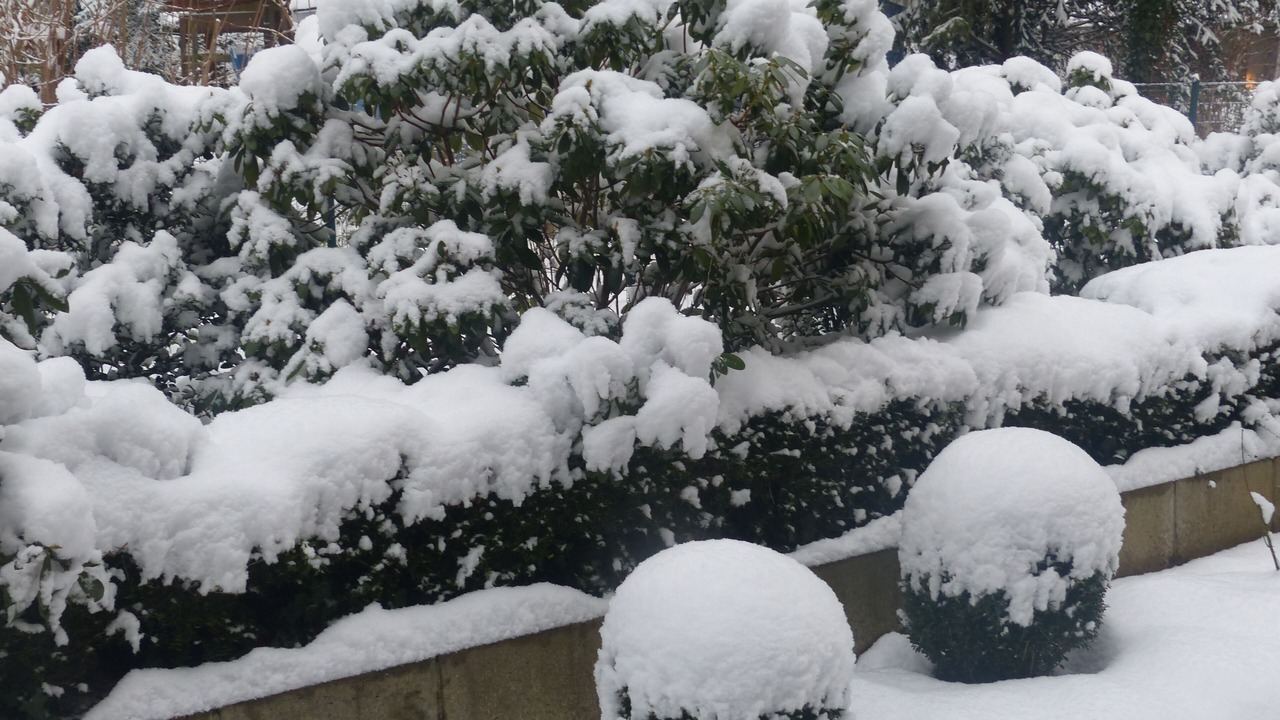 Photo of Outdoor in Bad Bevensen