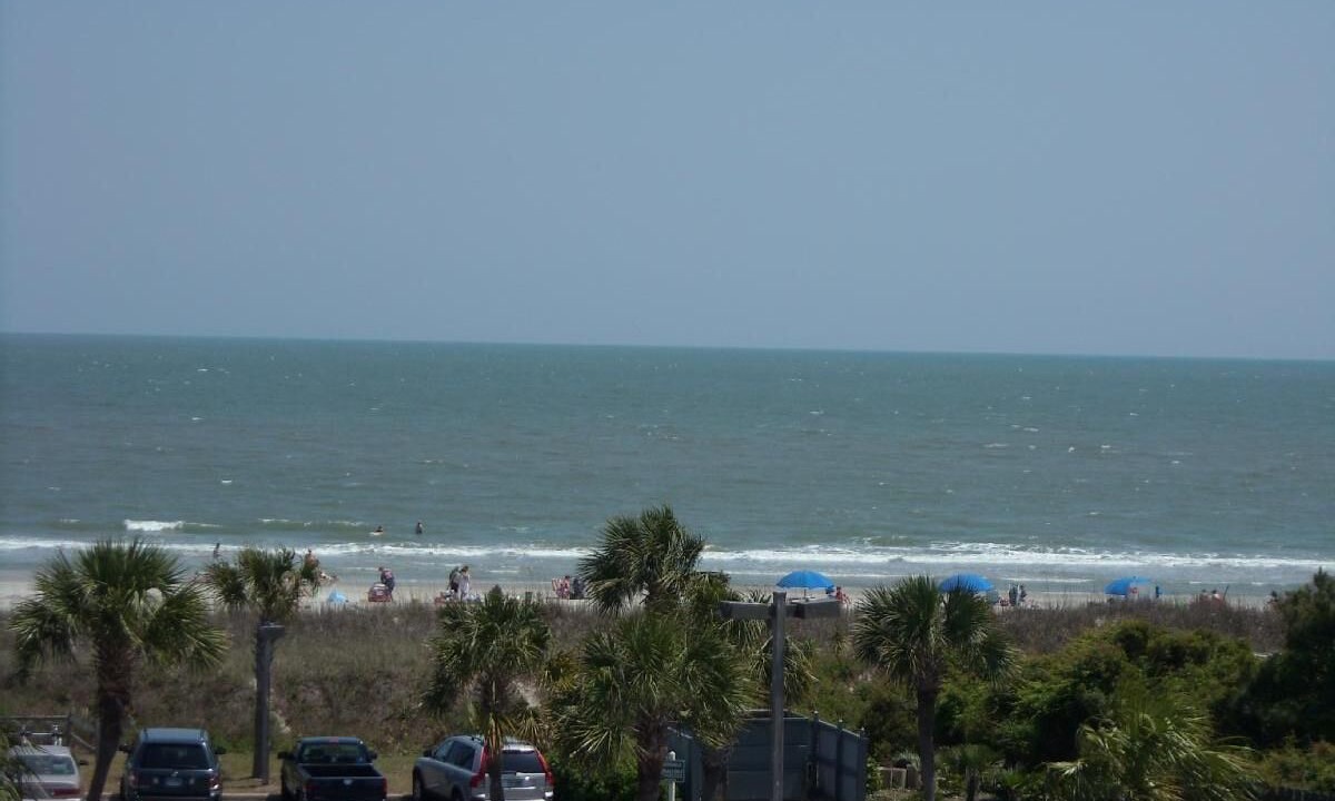 Photo of Others in Folly Field