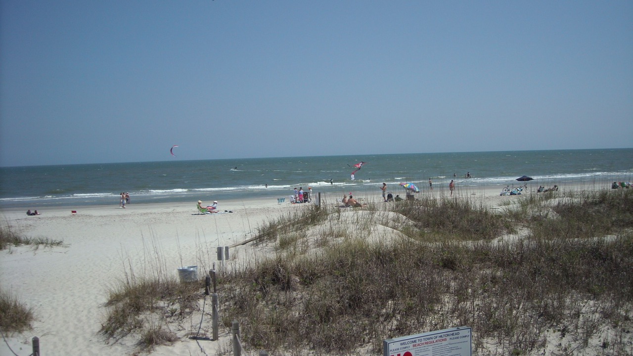Photo of Others in Folly Field