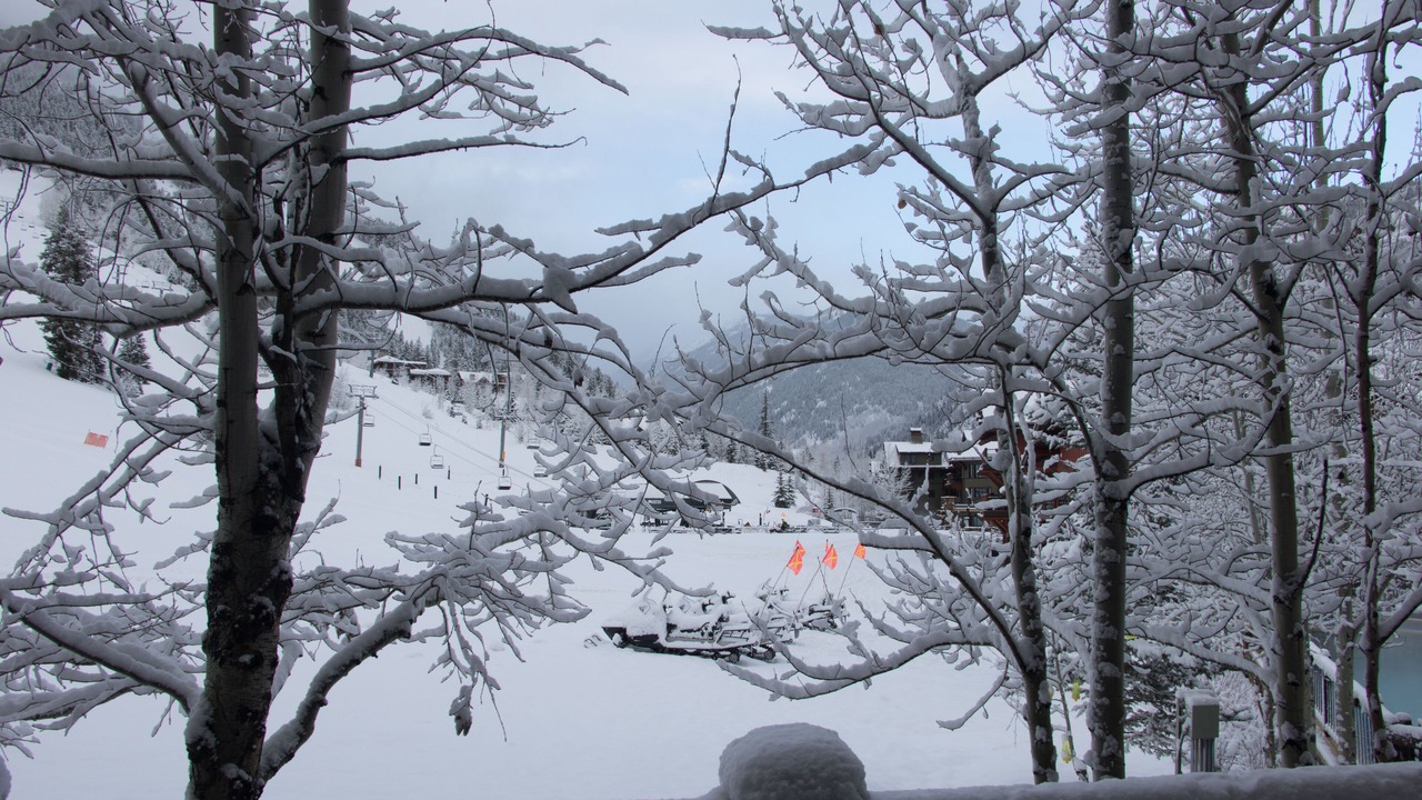 Photo of Others in Aspen