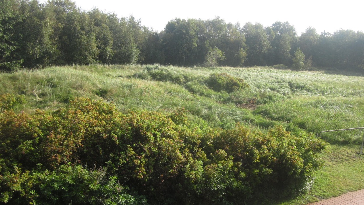 Photo of Outdoor in Borkum