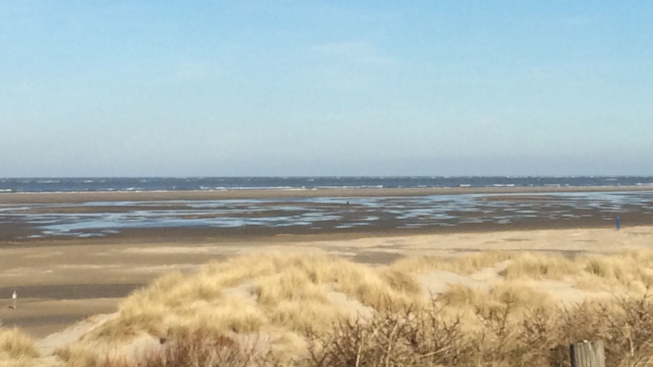 Photo of Others in Borkum