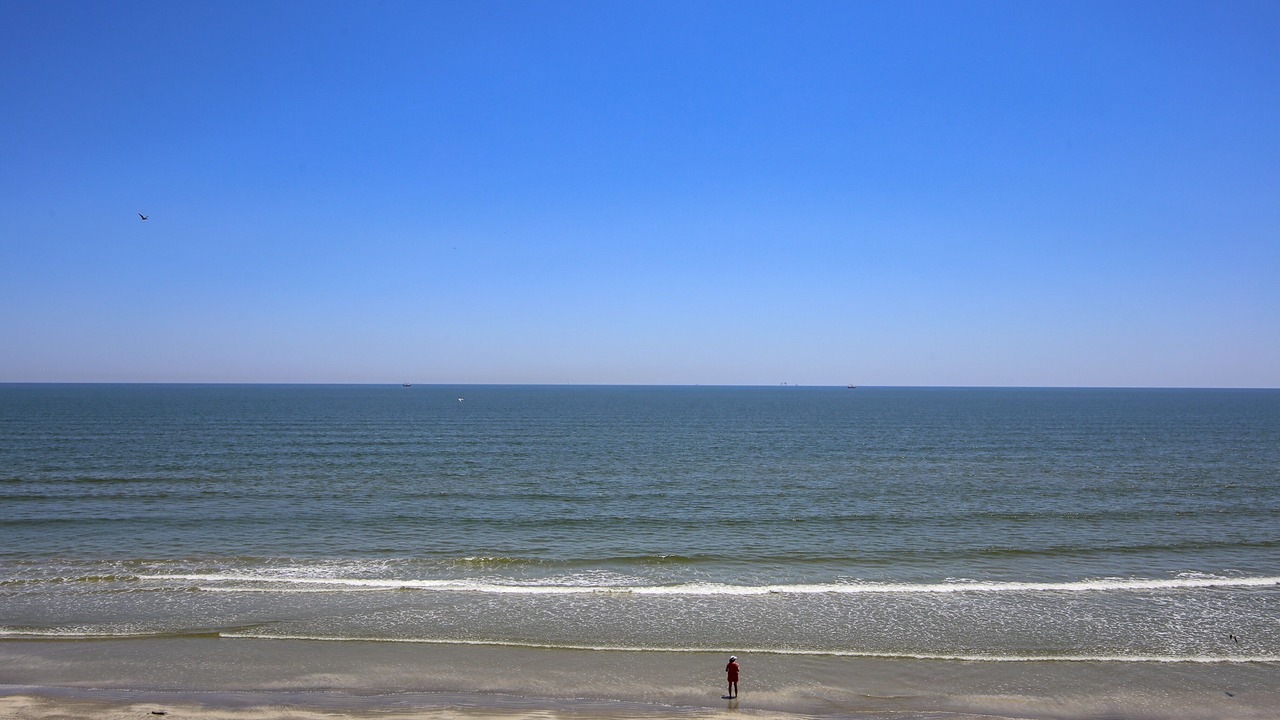 Photo of Others in Galveston