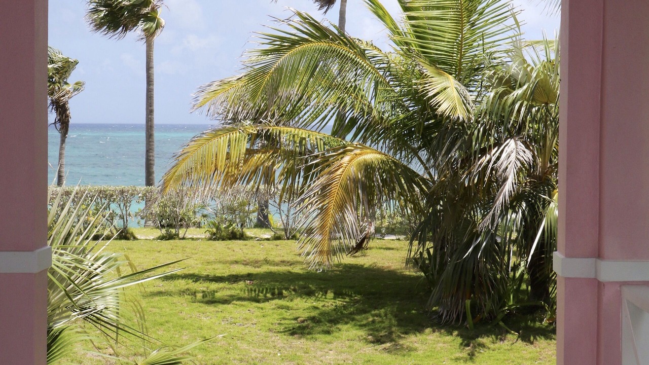 Photo of Others in North Palmetto Point