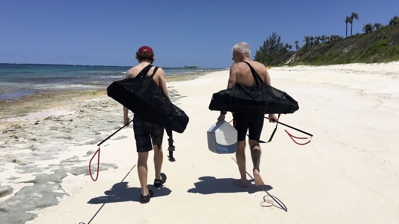 Photo of Others in North Palmetto Point