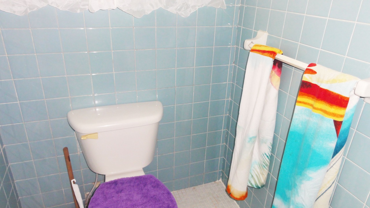 Photo of Bathroom in Alice Town