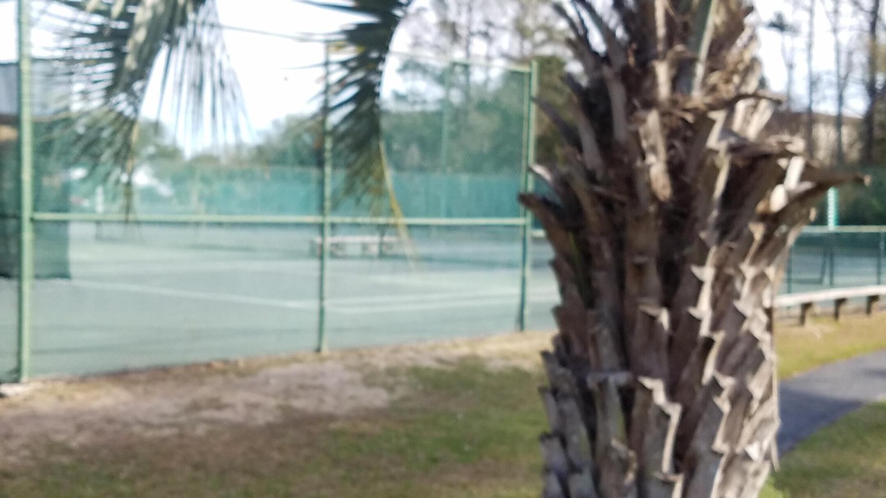 Photo of Others in Folly Field
