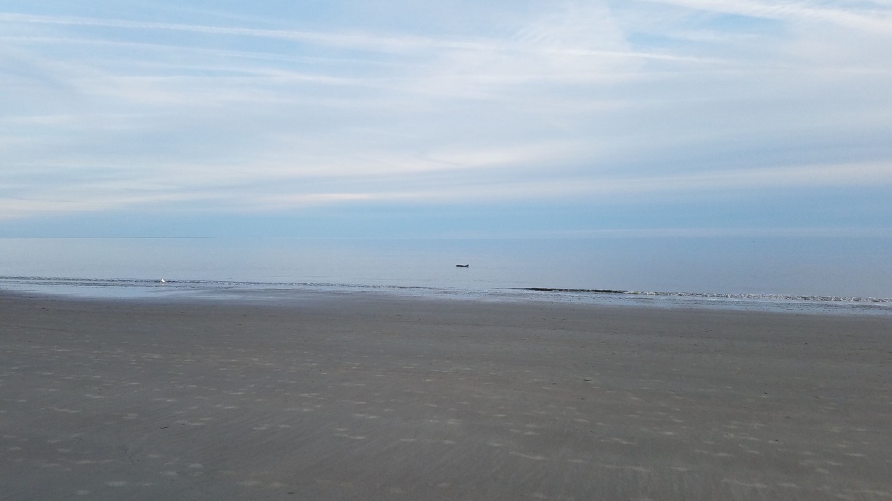 Photo of Others in Folly Field
