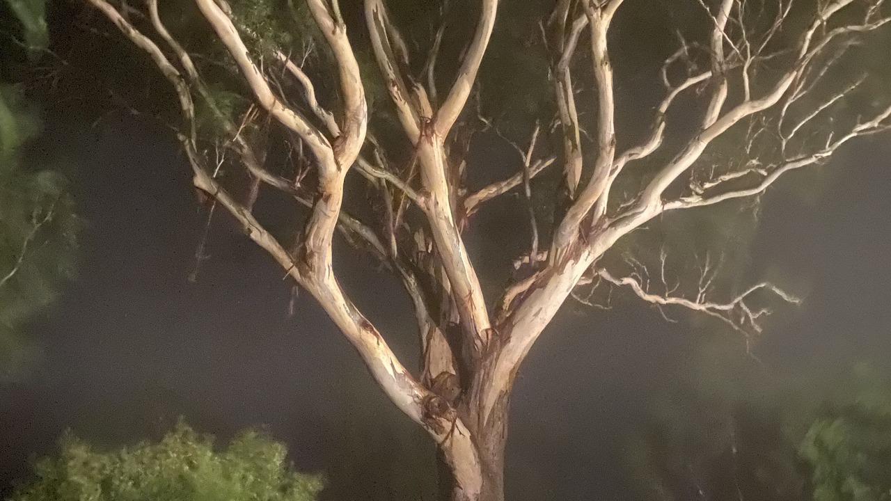 Photo of Others in Gisborne