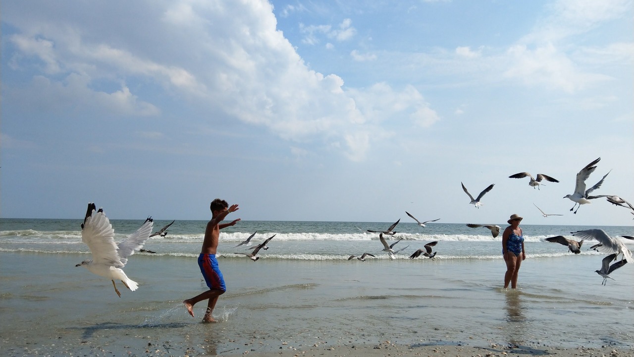 Photo of Others in Arcadian Shores