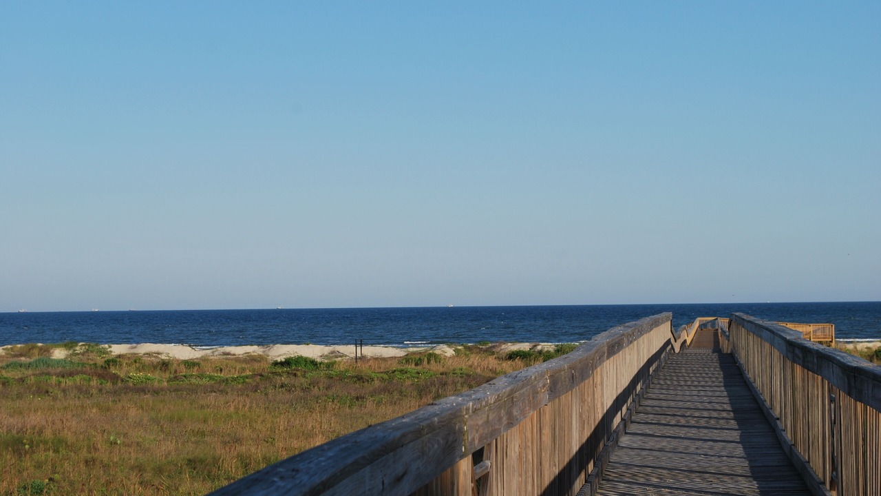 Photo of Others in Red Fish Cove