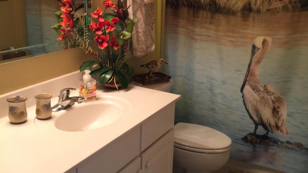 Photo of Bathroom in North Myrtle Beach
