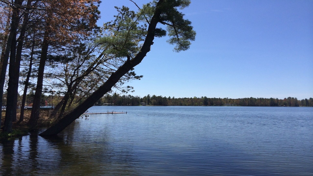 Photo of Others in Interlochen
