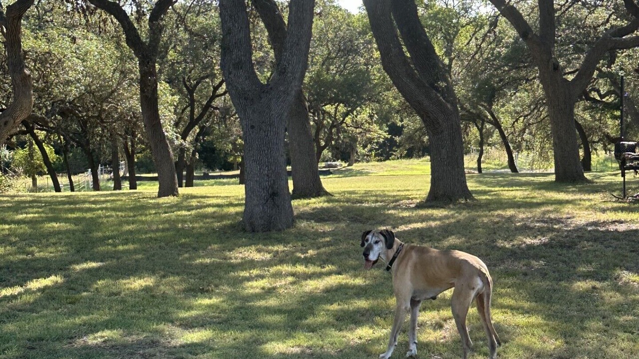 Photo of Others in Boerne