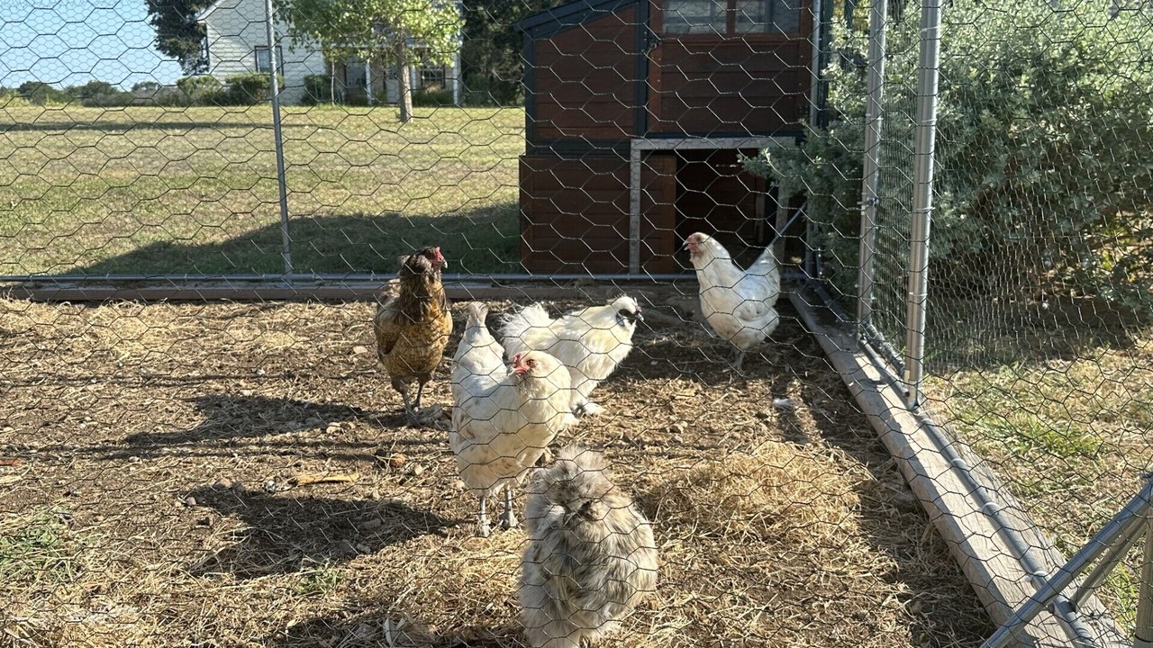 Photo of Outdoor in Boerne