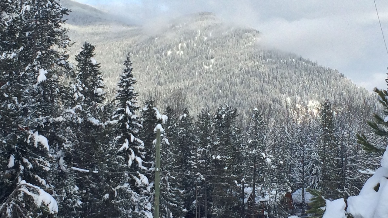 Photo of Others in East Kootenay