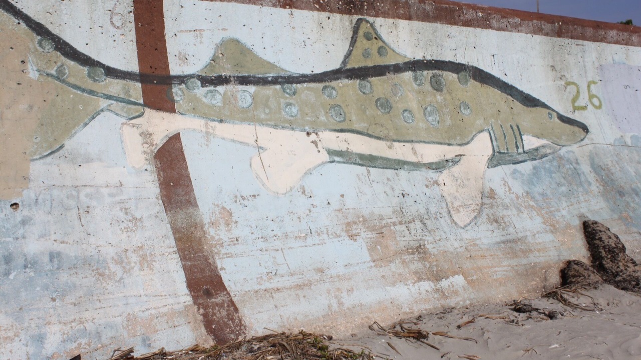 Photo of Others in Galveston