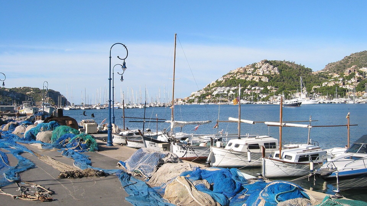 Photo of Others in Port d'Andraitx