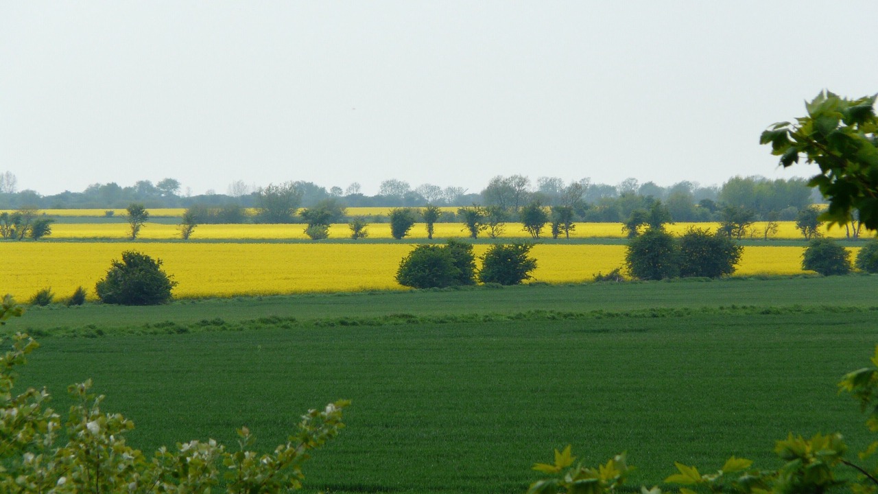Photo of Others in Todendorf