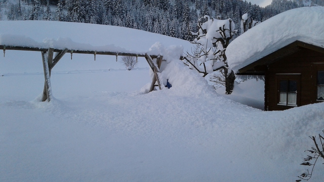 Photo of Outdoor in Tannheim