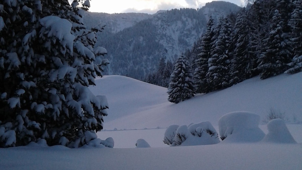Photo of Others in Tannheim