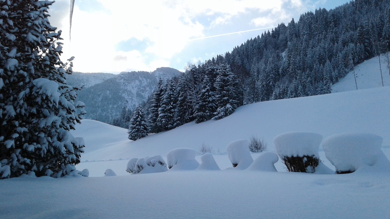 Photo of Others in Tannheim