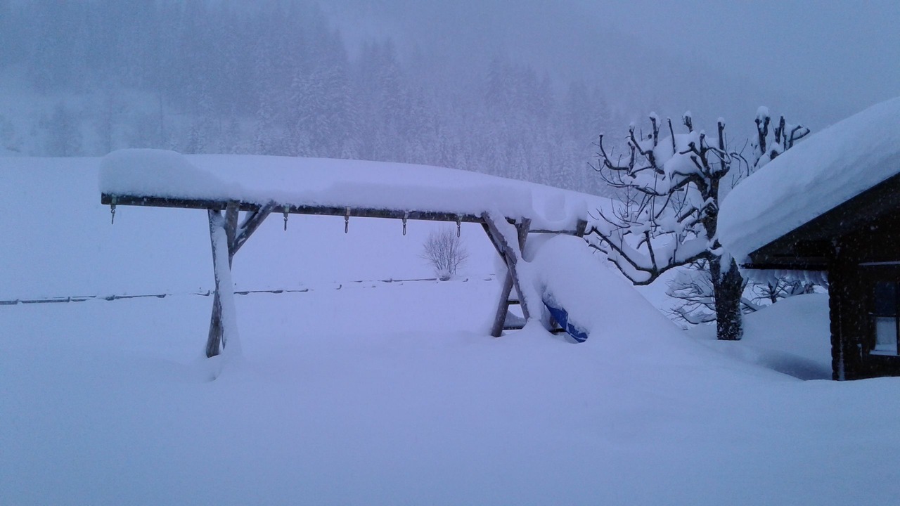 Photo of Others in Tannheim