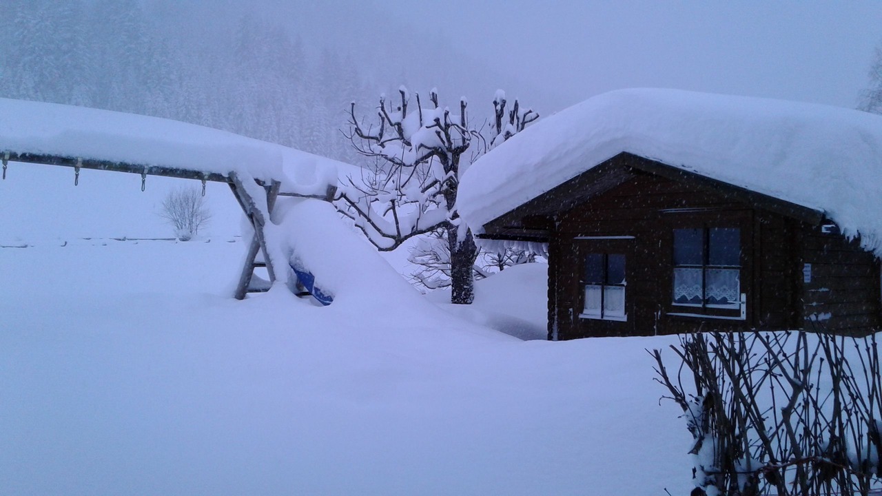 Photo of Outdoor in Tannheim