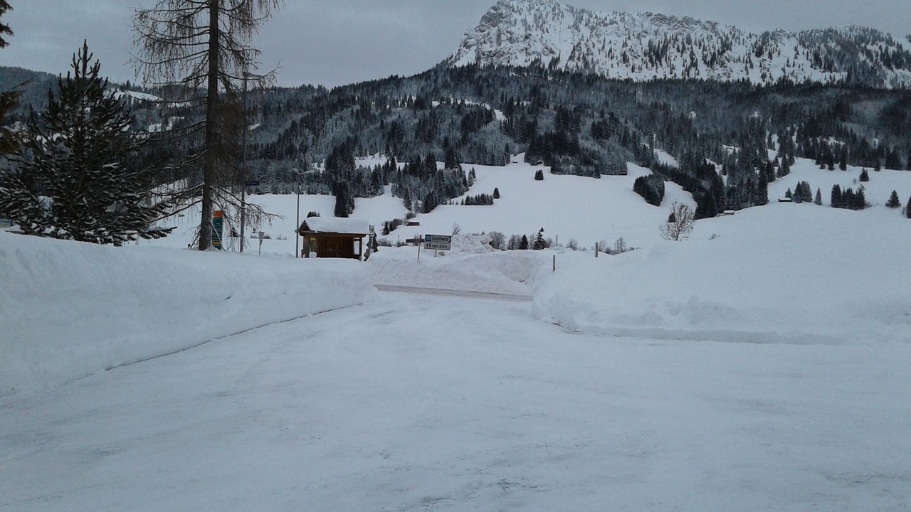 Photo of Others in Tannheim