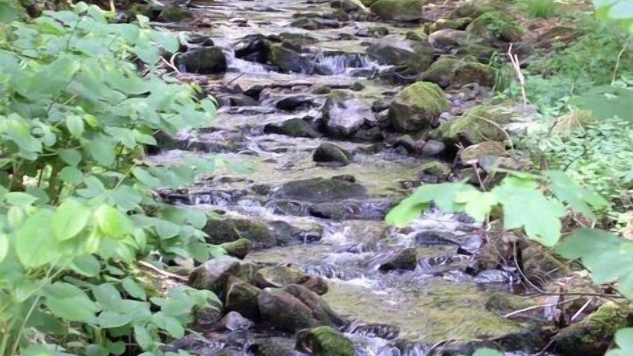 Photo of Outdoor in Vesser