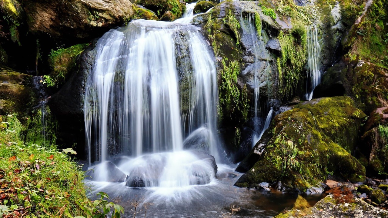 Photo of Outdoor in Triberg im Schwarzwald