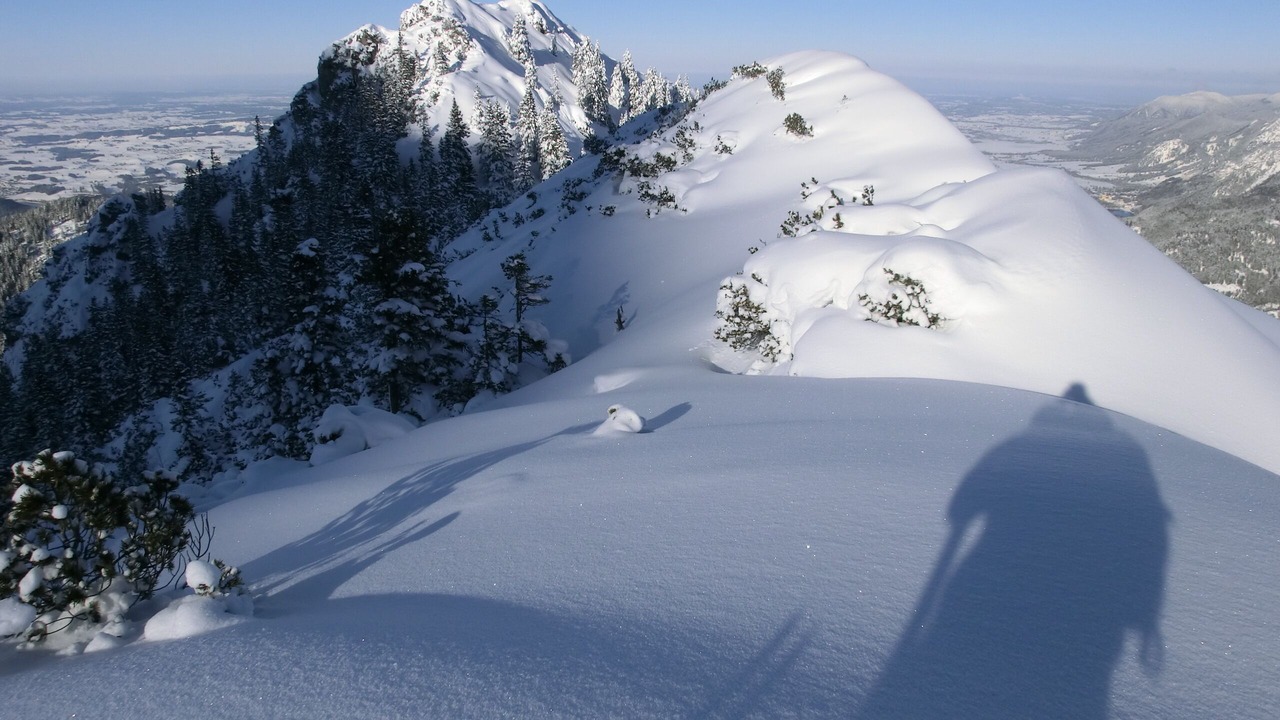 Photo of Others in Hoefen