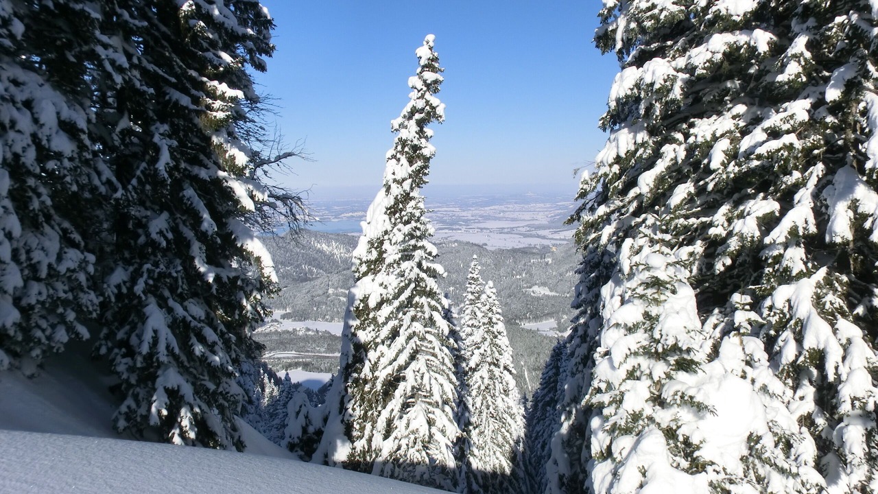 Photo of Others in Hoefen