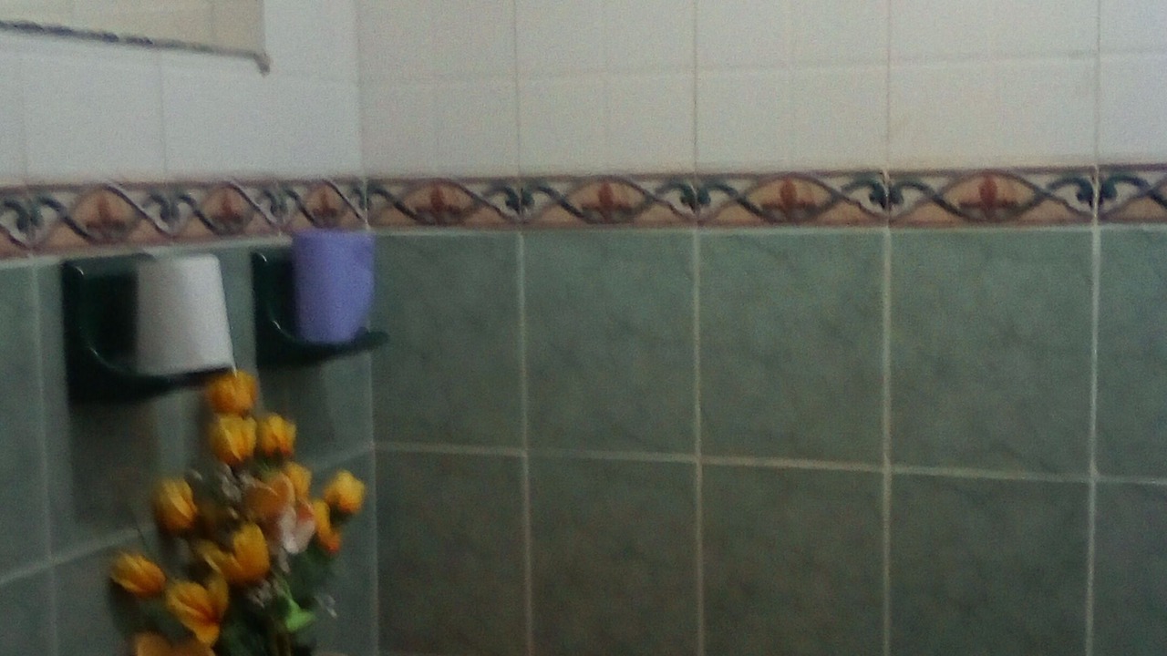 Photo of Bathroom in San Andres