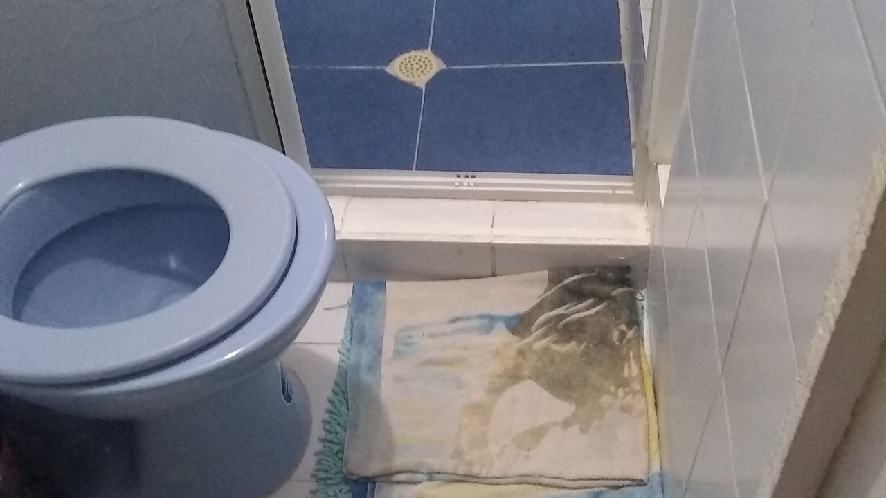 Photo of Bathroom in San Andres