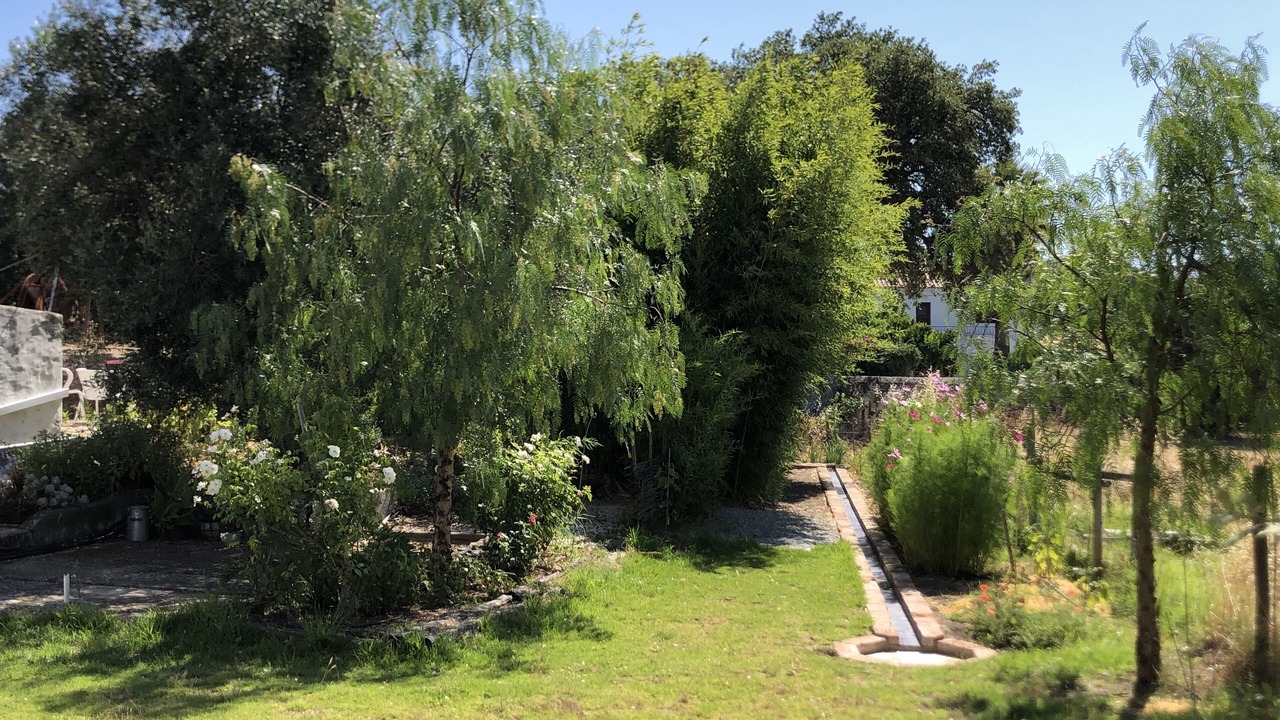 Photo of Outdoor in Santiago do Escoural
