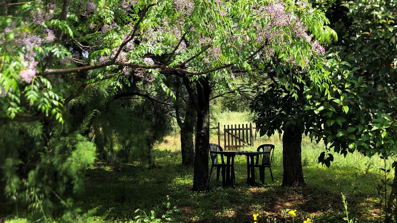 Photo of Outdoor in Santiago do Escoural