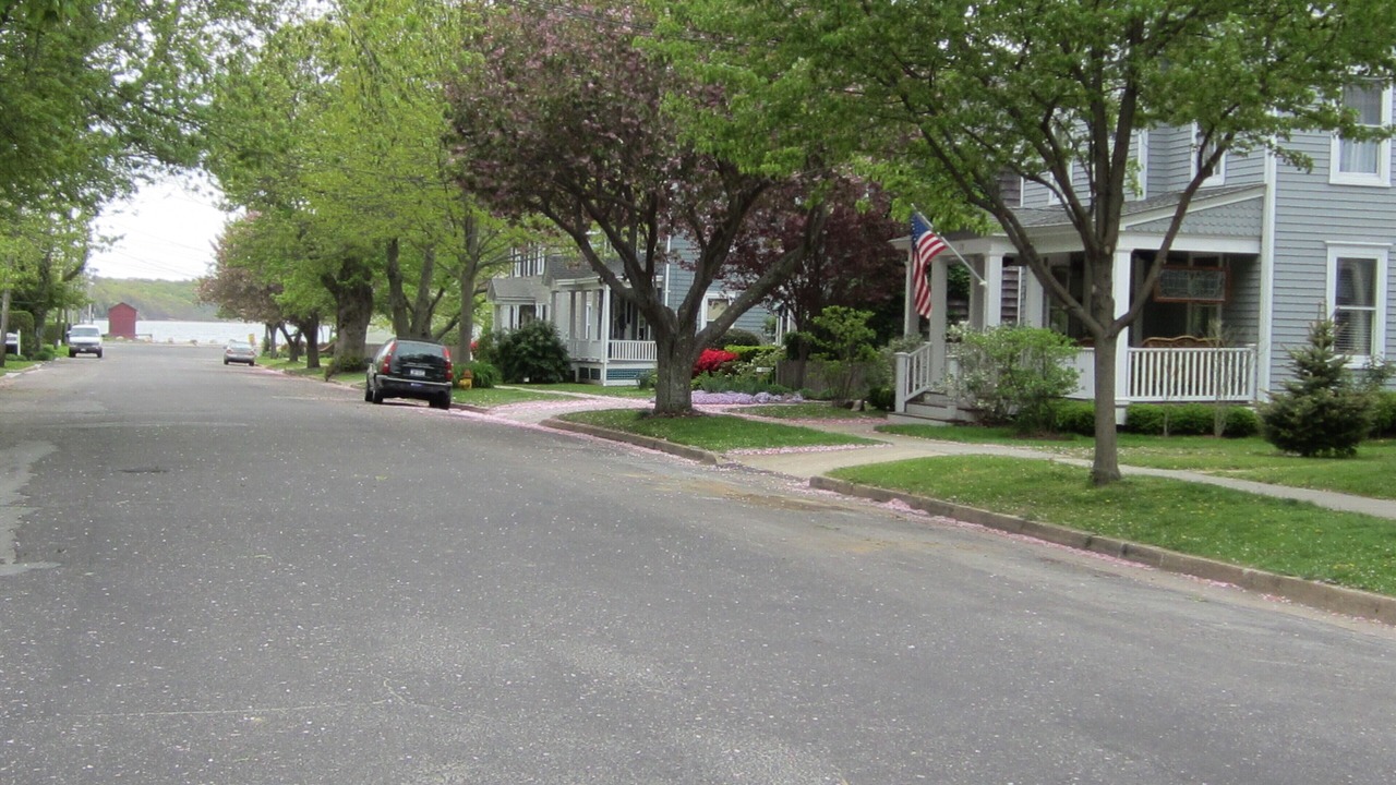Photo of Others in Pipes Cove
