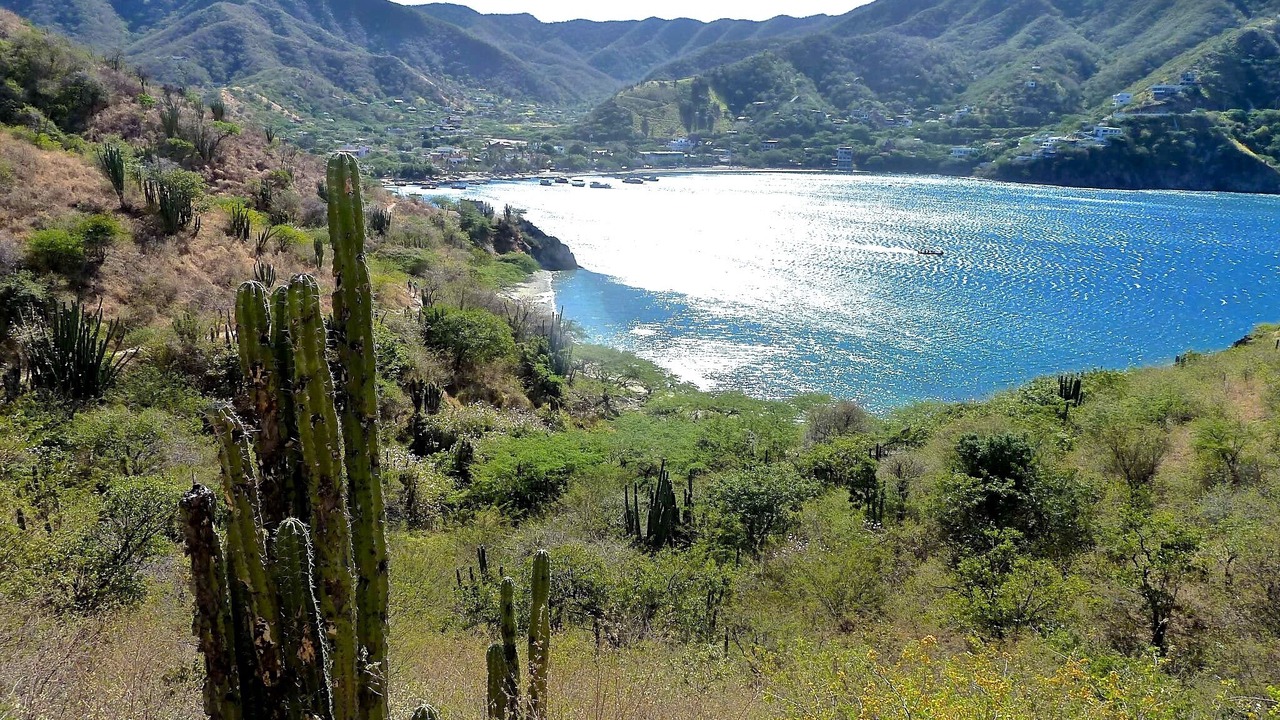 Photo of Others in Taganga