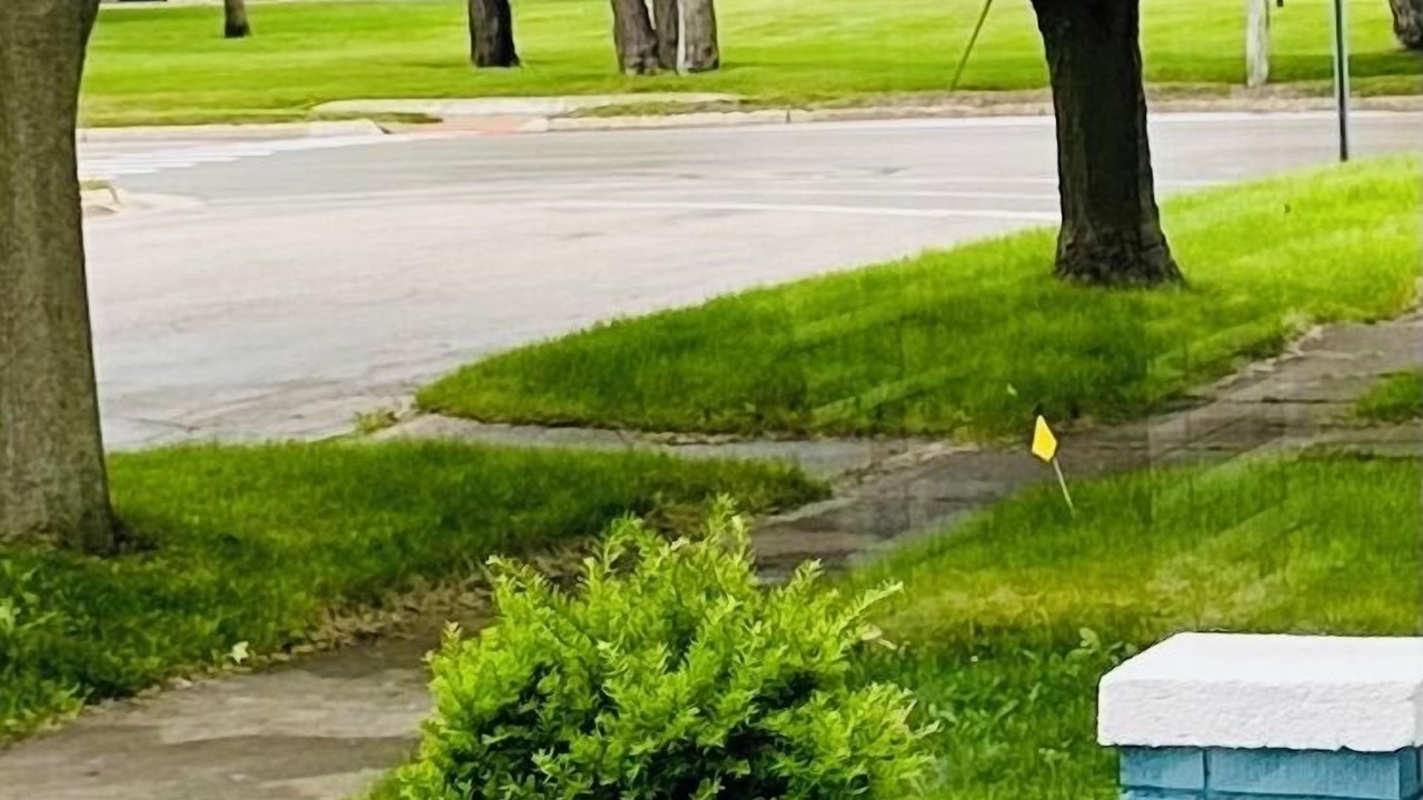 Photo of Outdoor in Ludington