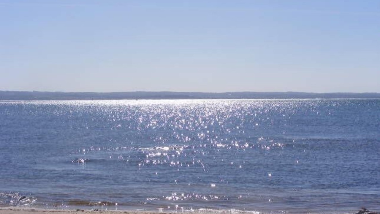 Photo of Others in Ventnor