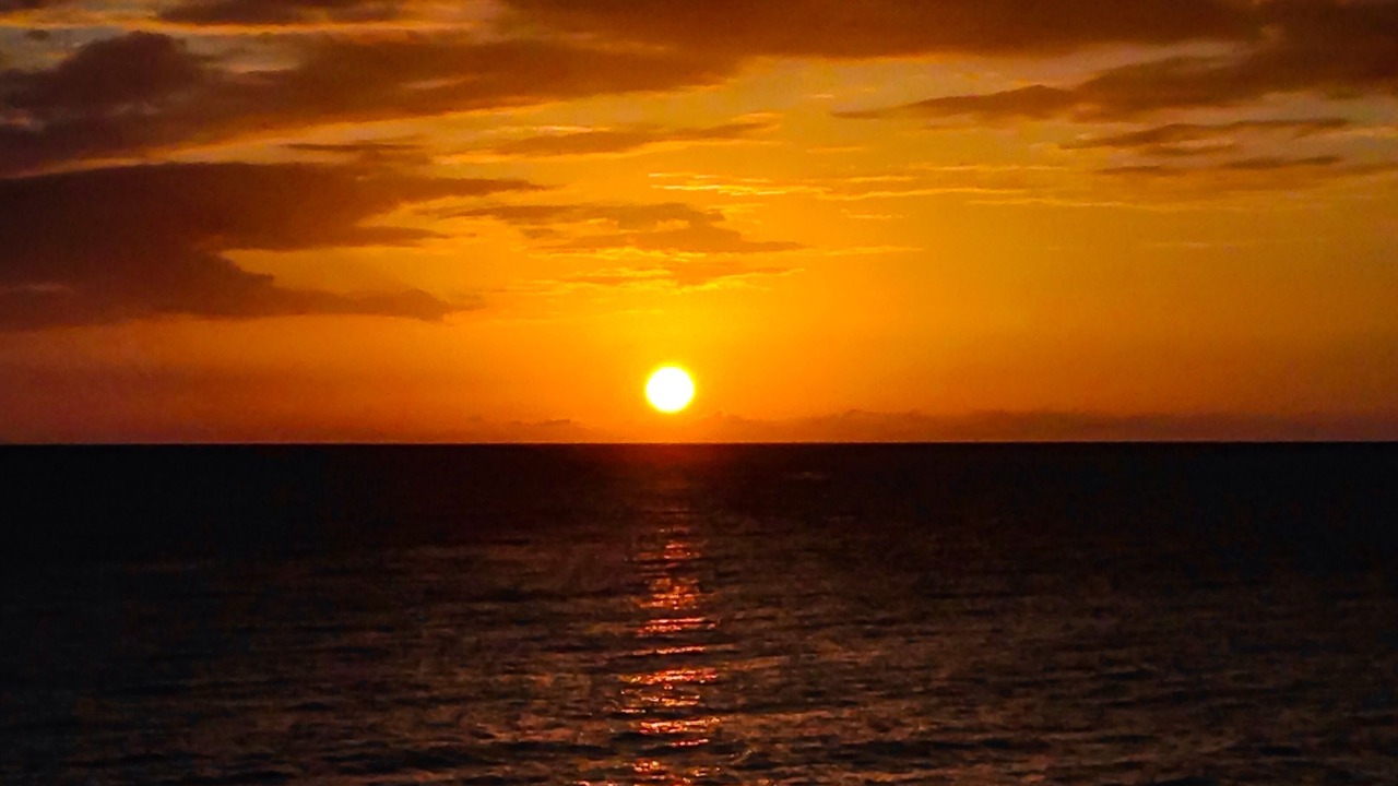 Photo of Others in Orange Bay