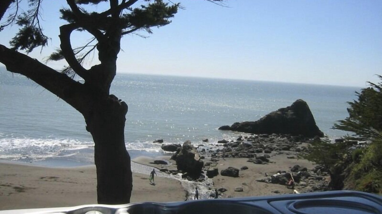 Photo of Others in Muir Beach