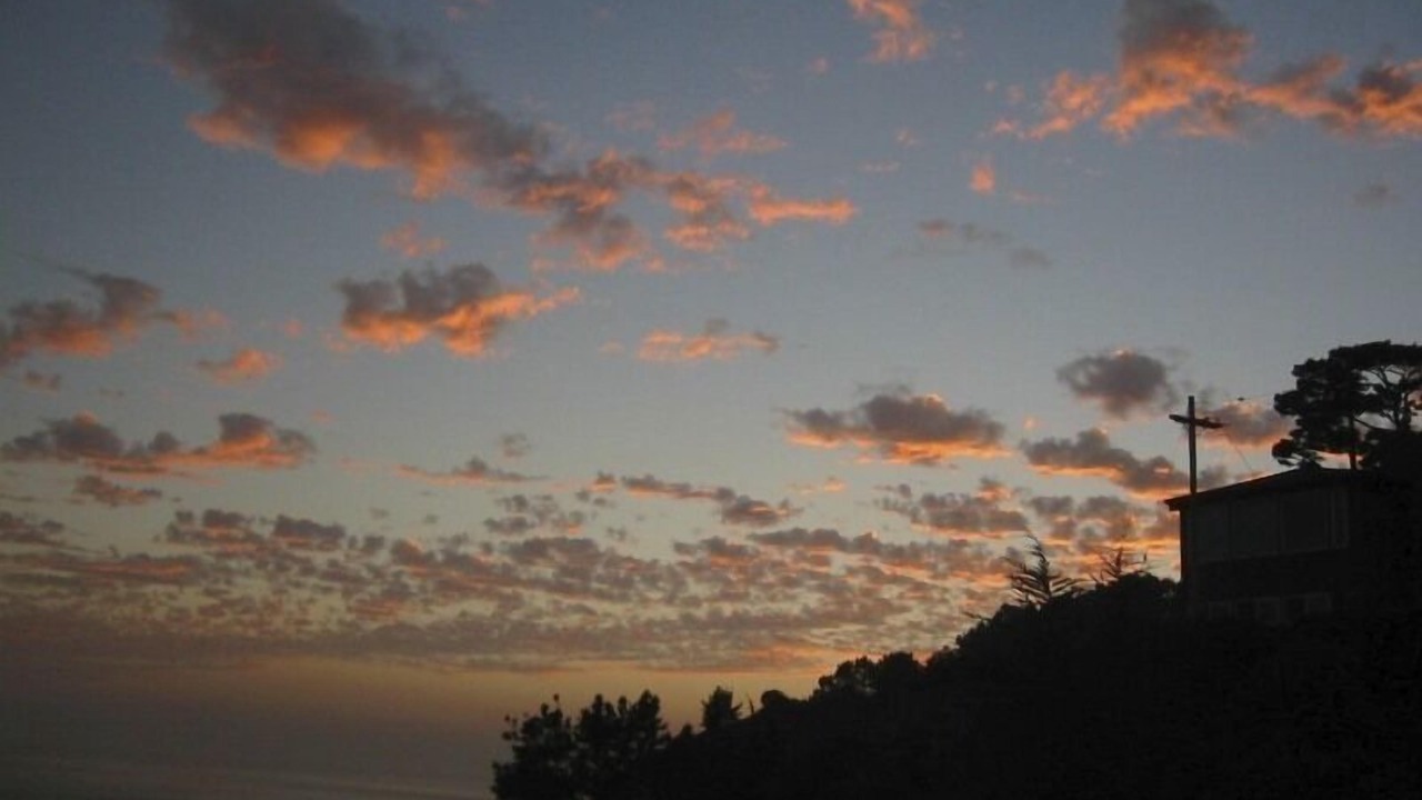 Photo of Others in Muir Beach