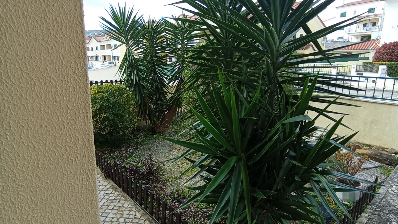 Photo of Outdoor in Arruda dos Vinhos