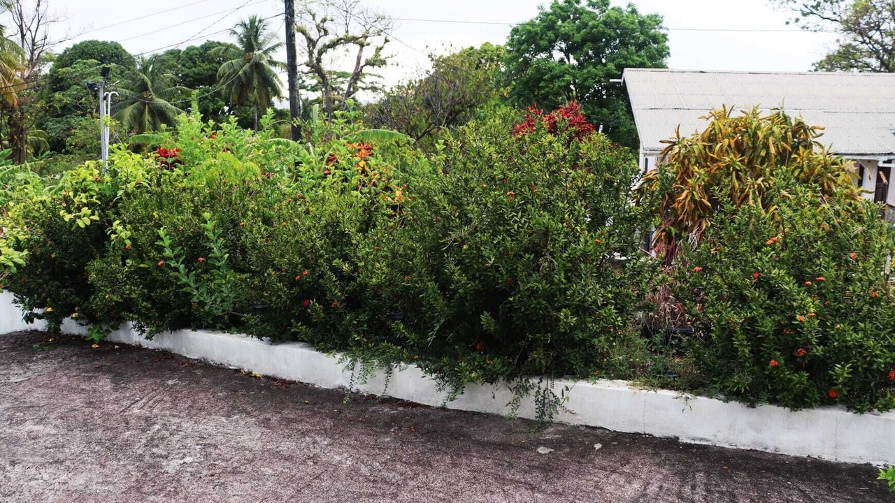 Photo of Outdoor in St. John