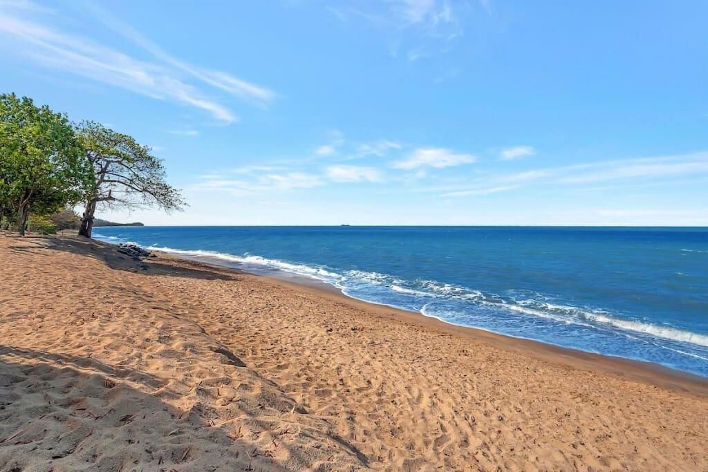 Photo of Others in Holloways Beach
