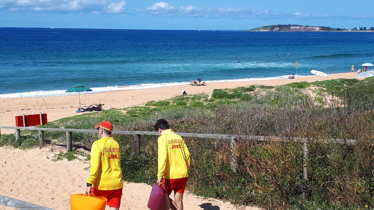Photo of Others in Narrabeen